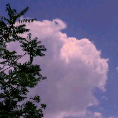 兰陵王妃百度版下载
